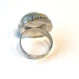 Anello con Insetto Regolabile in Resina, Gioiello Luminoso al Buio con Vero Scorpione Giallo e Nero per Uomo - Product Image 5
