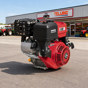 Motore a <span class=keywords><strong>Benzina</strong></span> 550cc a 4 Tempi per Impieghi Gravosi con Serbatoio da 6,5L per Applicazioni Marine e Imbarcazioni da Pesca - Product Image 2