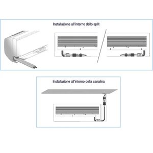 OB587004 - Orbis - Product Image 2