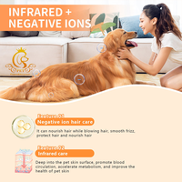 Séchoir intelligent super silencieux EUR PET pour le toilettage des animaux domestiques, utilisation à domicile, boîte en plastique, fermeture à poussoir, forme rectangulaire, grande capacité