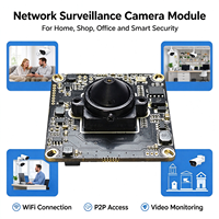 38x38mm Wifi IP Kamera Modülü P2P Kablosuz Kamera Kartı İğne Deliği Lensi 1080P 720P Güvenlik İzleme için OEM ODM