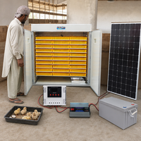 Incubateur solaire entièrement automatique et éclosoir 5280 oeufs prix de gros tout nouvel équipement d'utilisation de ferme de machine d'élevage d'animaux
