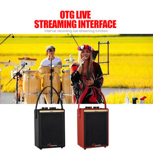 Eurusom V6 6 "ad alta potenza esterna di piccole dimensioni Multi-funzione Wireless <span class=keywords><strong>K</strong></span> OK microfono Party altoparlante - Product Image 3