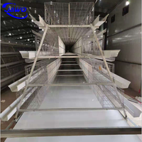 Cage à poulet en acier inoxydable 200 pour les poules et les bébés poussins, caisse en bois, produit chaud fourni, poulailler à 20 poules pondeuses
