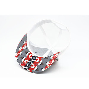 Casquette <span class=keywords><strong>de</strong></span> camionneur en maille à bord plat avec logo imprimé 6 panneaux OEM prix d'usine - Product Image 3