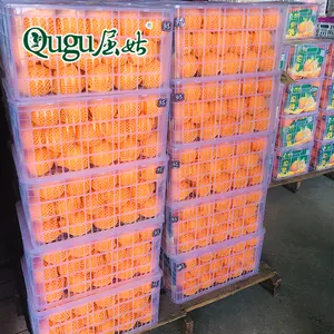 fresh mandarine orange tangerine