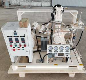 Compresseur d'oxygène sans huile de réservoir d'oxygène de remplissage médical 15m3/H - Product Image 1