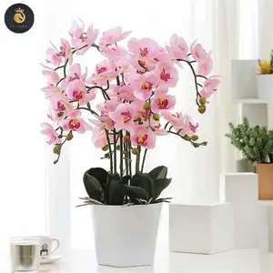 Flowers Uk With Pot Flower Wedding Orchids For Sale Artificial Orchid Plant White Pink