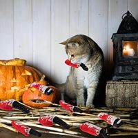 Jouet en peluche pour chat en forme de couteau d'horreur, avec herbe à chat, jouet interactif à mâcher pour chatons et chats