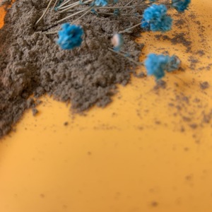 ミモザ根樹皮粉末中国工場供給バルク価格 - Product Image 2