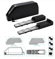 Variantes de batterie au lithium-ion de vélo électrique de grande capacité 20V-40V 10AH-30AH disponibles