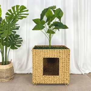 Panier de lit de cage pour animaux de compagnie tissé à la main de maison de chat de PE pour des chats et de petits chiens emballage carré de carton de conception de mode moderne - Product Image 1