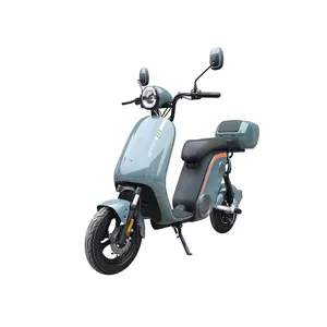 Superbike אופנועים קטנועים למבוגרים חשמלי 15 אינץ 800w sur רון/off-road אופנועים שנזן