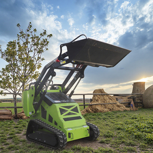 Mini cargadora de dirección deslizante con orugas, extremo delantero, trituradora forestal, bomba de motor sobre orugas, accesorios de componentes de engranaje de Motor, conjunto completo - Product Image 1