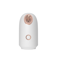 Vaporizador facial Nano iónico de alta calidad Vapozone vapor caliente y instrumento de humedad profunda Nano Mister eléctrico