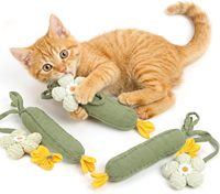 Jouets pour chat en forme de concombre, 3 pièces, jouets pour chatons d'intérieur
