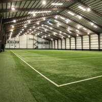 Structure en acier préfabriquée à haute résistance et économique pour salle de football intérieure à montage rapide