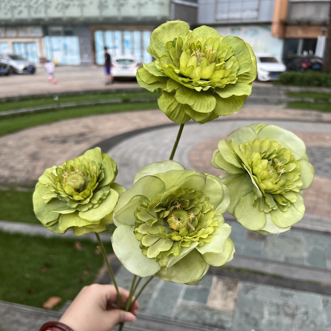 Special offer4Head sunshine Dew Lotus Green