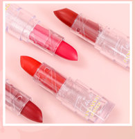 HANDAIYAN Rouge à lèvres mat transparent à motif floral, mini portable, longue tenue, anti-transfert, tube floral mignon, OEM ODM