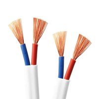 Doppelschichtig PVC-isoliertes Flachmantelkabel mit Kupferkern RVVB-2*4/6 mm²; Verlustarm; für Gebäudeverkabelung