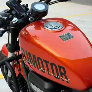 300CC V Dual Cylinder Engine Water-Cooled CDI Ignition >80km/h for <b>Curiser</b> <b>Motorcycles</b> Replacement/Repair - Product Image 4