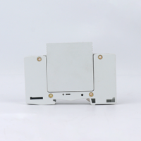 Dispositif de protection contre les surtensions 1P sur rail DIN SPD AC385V 20kA 40kA, parafoudre à module remplaçable pour boîtier de distribution AC solaire photovoltaïque