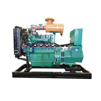 Générateur triphasé à courant alternatif haute efficacité 120 kW, stade 5, avec AVR, fonctionnement parallèle stable, pour biomasse/gaz de synthèse/biogaz/gaz naturel