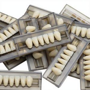 ZUNCHI Factory Dents antérieures inférieures en acrylique dentaire multicouche pour prothèse dentaire, utilisation manuelle, Classe II, Garantie 3 ans, CE ISO - Product Image 4