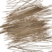 300g Nouilles sèches en promotion : Soba/Udon/Ramen/Somen/Nouilles aux œufs