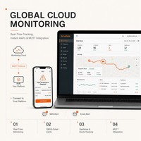 Rastreador de Temperatura y Humedad 4G Desechable DO 160G para Proyectos de Transporte de Cadena de Frío por Aire, Mar y Tierra