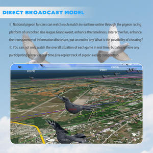 Traceur GPS pour oiseaux perroquets <span class=keywords><strong>aigle</strong></span>, suivi des pigeons voyageurs, lecture de la trajectoire, anneau de patte, entraînement au vol, portée de 500 kilomètres - Product Image 5