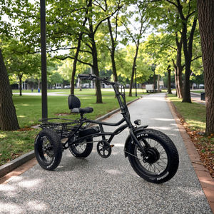 Vente en gros de tricycles électriques à <span class=keywords><strong>3</strong></span> <span class=keywords><strong>roues</strong></span> 350w transportant des vélos cargo électriques de l'usine directe de Chine - Product Image 2