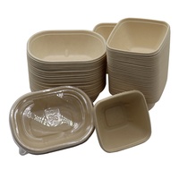 Contenant alimentaire 23 OZ (700 ml) en pulpe de bagasse compostable, jetable, pour plats à emporter, bol ovale en canne à sucre avec couvercle, ensemble de vaisselle