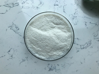 Insen Supply Aid Digestion Pancreatin Trypsin Enzyme Trypsin Powder