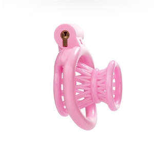 Lồng trinh tiết nam 2025 mới, 4 màu, khóa dương vật, kiểm soát abstinence, khóa dương vật kiểu sissy với 4 vòng cỡ khác nhau, sản phẩm dành cho người lớn - Product Image 6