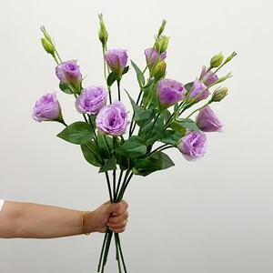 <span class=keywords><strong>Fiori</strong></span> Artificiali di Eustoma a 3 Teste, Stile Nordico, Alta Qualità, per Decorazioni Domestiche, Ispirati alla Lingua <span class=keywords><strong>dei</strong></span> <span class=keywords><strong>Fiori</strong></span> Yang - Product Image 3