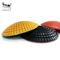 LITTLE ANT Lot de 100 mm de disques de polissage diamantés, outil de meulage à eau pour pierres concaves et convexes, pour granit et marbre
