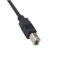 Câble d'imprimante USB personnalisé Câble de données d'imprimante USB Type A mâle vers B mâle 2.0