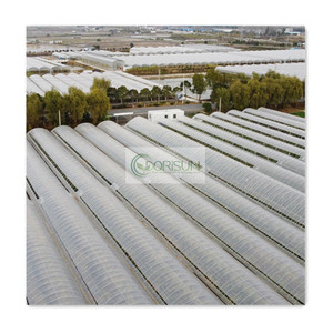Invernaderos en Sudáfrica Luces de granja para invernadero Invernadero de película de un solo tramo - Product Image 2