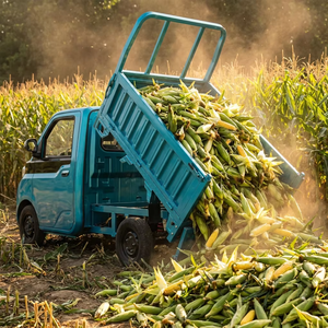 Mini Camion Elettrico 45km/h, Veicolo Pickup a Quattro Ruote con Vano di Carico Chiuso per Mobilità Anziani <span class=keywords><strong>e</strong></span> Compiti Quotidiani - Product Image 1