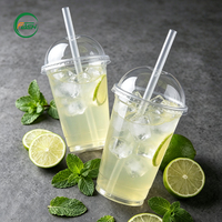 Onbreekbare PET Frappuccino bekers met drinklepels, exportkwaliteit, transparante plastic tumblers voor desserts