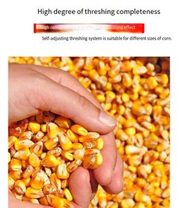 Décortiqueuse de maïs industrielle entièrement automatique à moteur électrique, haute productivité, pour les Philippines - Product Image 4