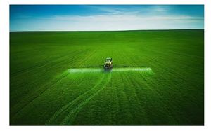 YD-F3009/G Funções Bactérias para Fixação de Nitrogênio Fósforo Potássio Resolvendo Bio-Fertilizante Orgânico - Product Image 5