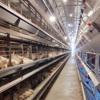 Nouveau poulailler automatique multi-niveaux de type H en acier galvanisé à chaud, cages multifonctionnelles, installation facile, mangeoire/abreuvoir facile à nettoyer