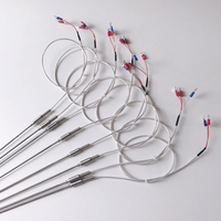 Thermocouple isolé de type N blindé à usage industriel Haichen