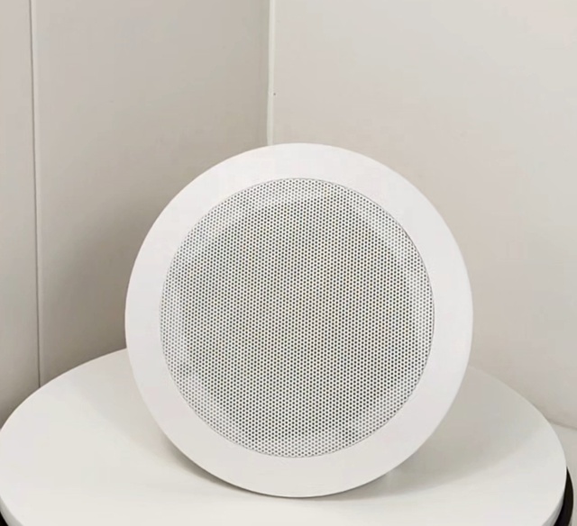 CL-305V ODM OEM Top Quality ABS 5 Inch Coaxial  Speaker Sound Elegant Design Ceiling Speaker
