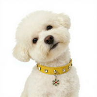 Collier pour chien transfrontalier en plastique couleur unie, anti-étranglement, pour Corgi et Teddy, avec pendentif de Noël, style Ins