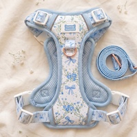 Harnais de luxe personnalisé Sunraymascota pour chien – Ensemble anti-traction en néoprène respirant avec collier réglable, laisse et gilet rembourré doux pour animaux de compagnie