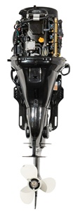 Moteurs 25 HP 4 temps compatibles pour moteur de bateau/moteur marin Enduro - Product Image 2
