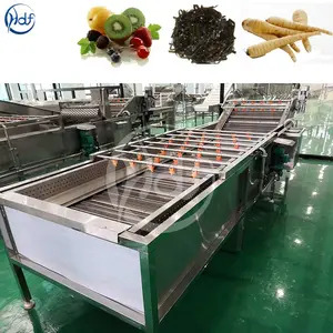 Carrot Vegetable And Apple Orange Cleaning Machine Mango Avocado Fruit Cleaning Machine Strawberry Cleaning Machine